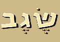 שגב