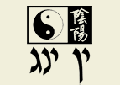 ין ינג
