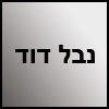 נבל דוד