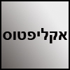 אקליפטוס